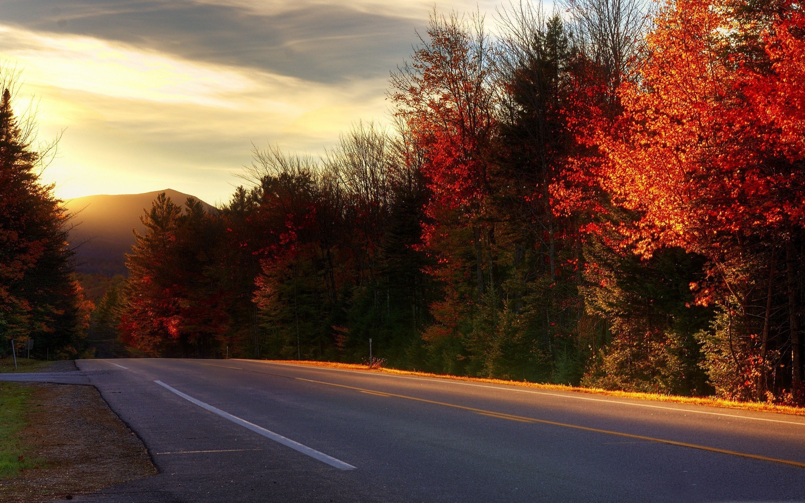 Осенняя дорога домой. Леса ньюгемпщира осень. Нью-Хэмпшир лес. Осенняя дорога. Осенняя дорога в лесу.