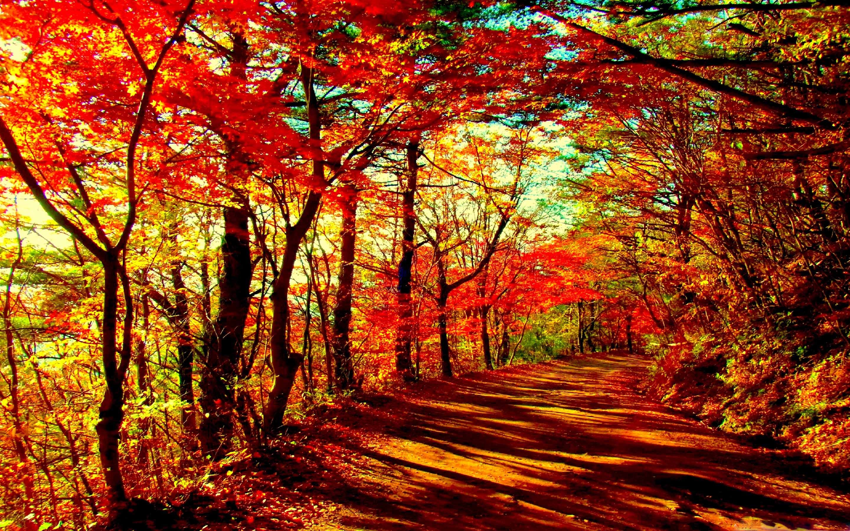 Autumn is beautiful. Осенний лес. Красивая осень. Красивый осенний лес. Осень в лесу.