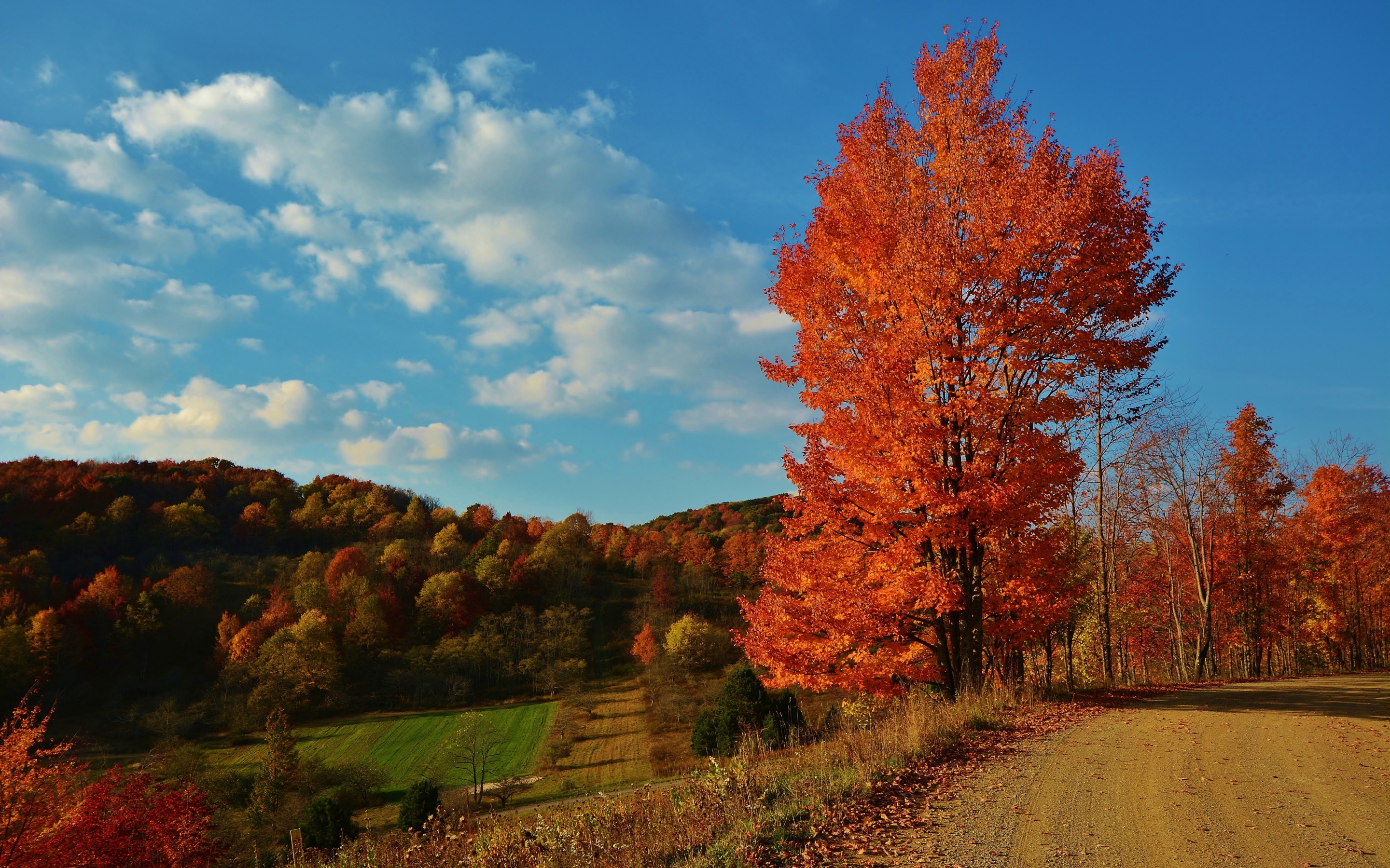 Beautiful autumn Mac Wallpaper Download | AllMacWallpaper