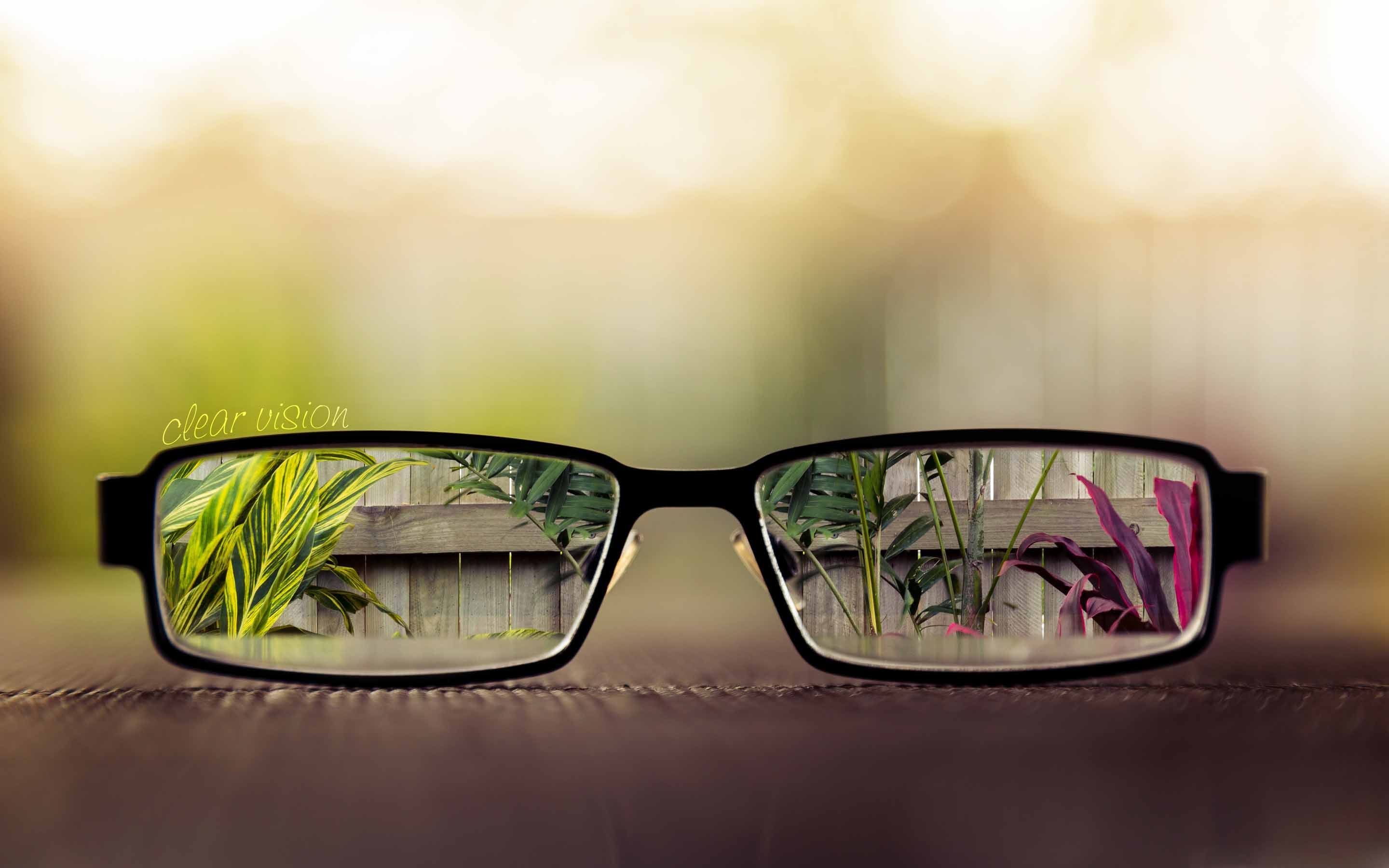 Видеть мир сквозь. Очки. Солнечные очки. Креативная реклама очков. Очки креативные.