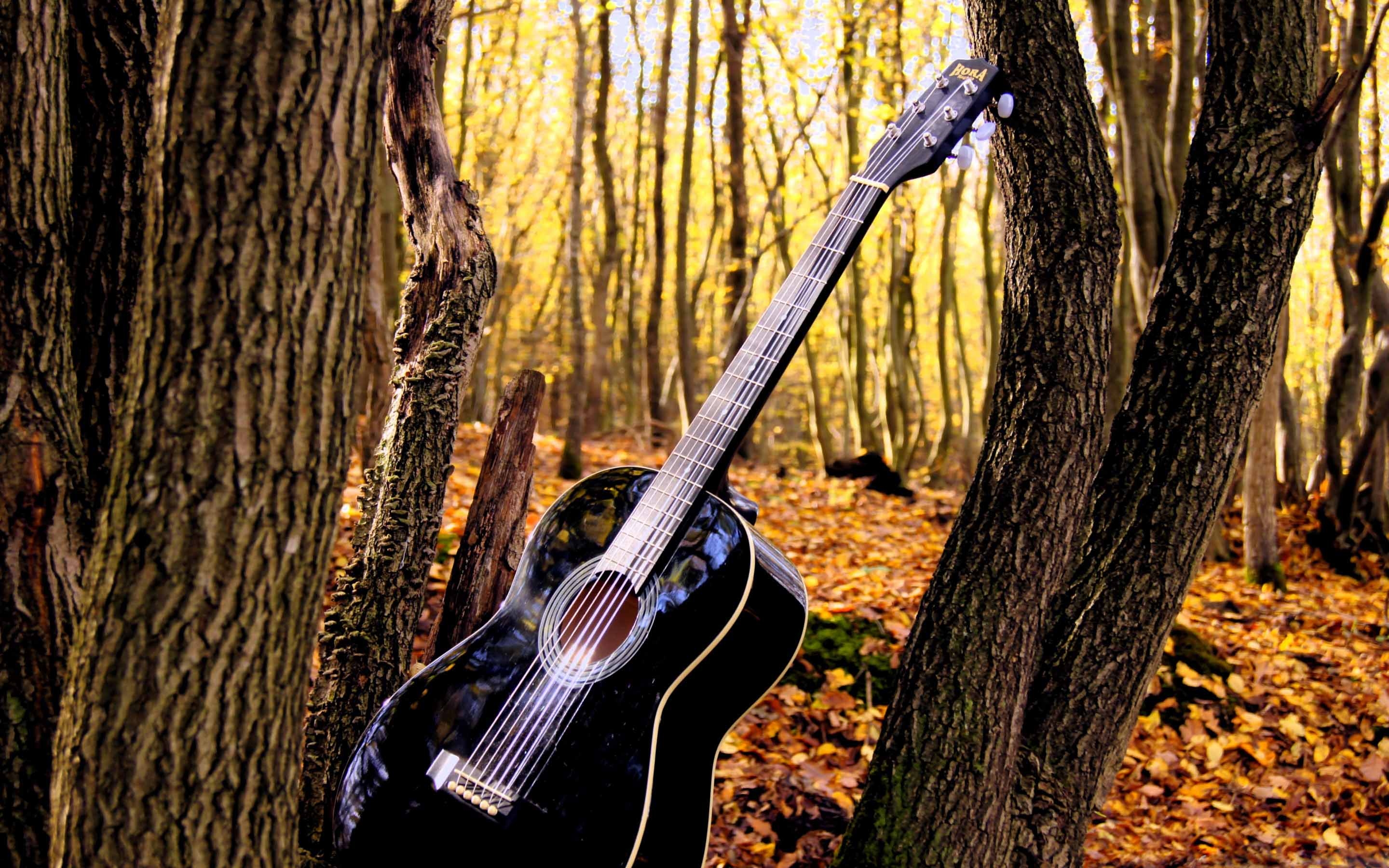 Музыка без музыкальных инструментов. Электрогитара на природе. Гитара на красивом фоне. Музыканты в лесу. Электрогитара в лесу.