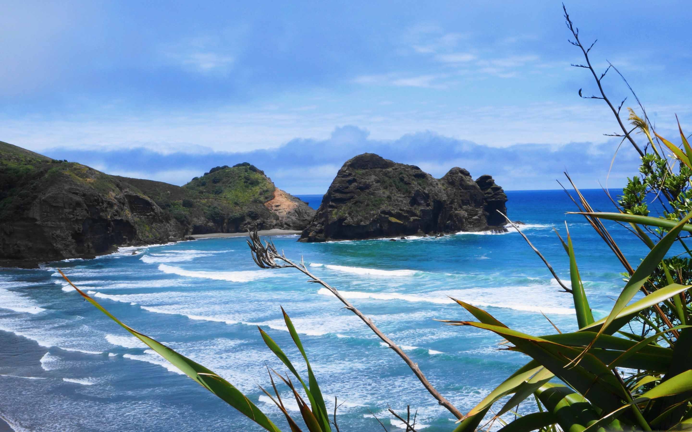 Новый тихий океан. Остров Кауаи, Гавайские острова. Пляж Пиха новая Зеландия. Тихий океан Гавайи. Новая Зеландия океан.