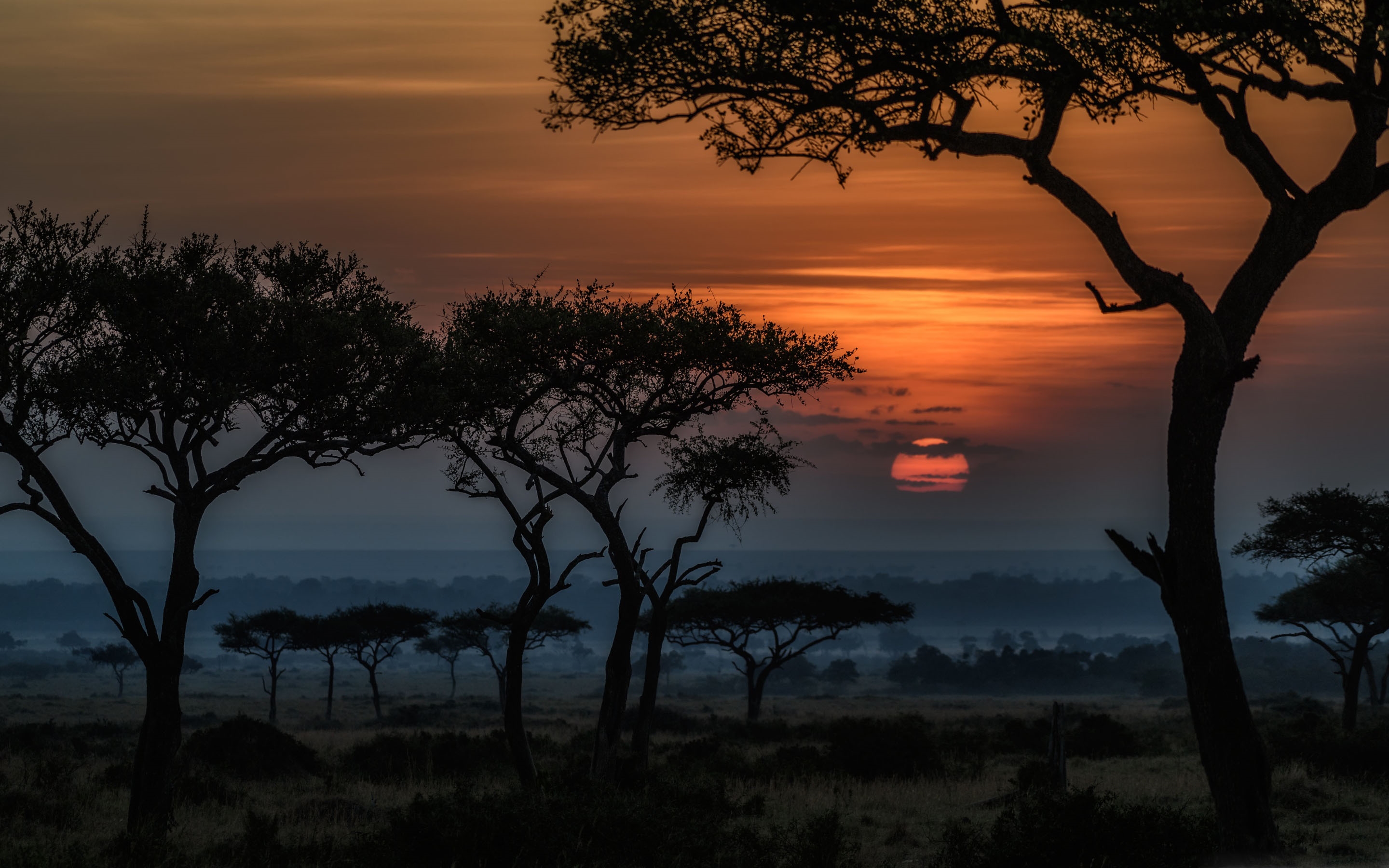 Sunrise In Masai Mara Kenya Africa Mac Wallpaper Download | AllMacWallpaper