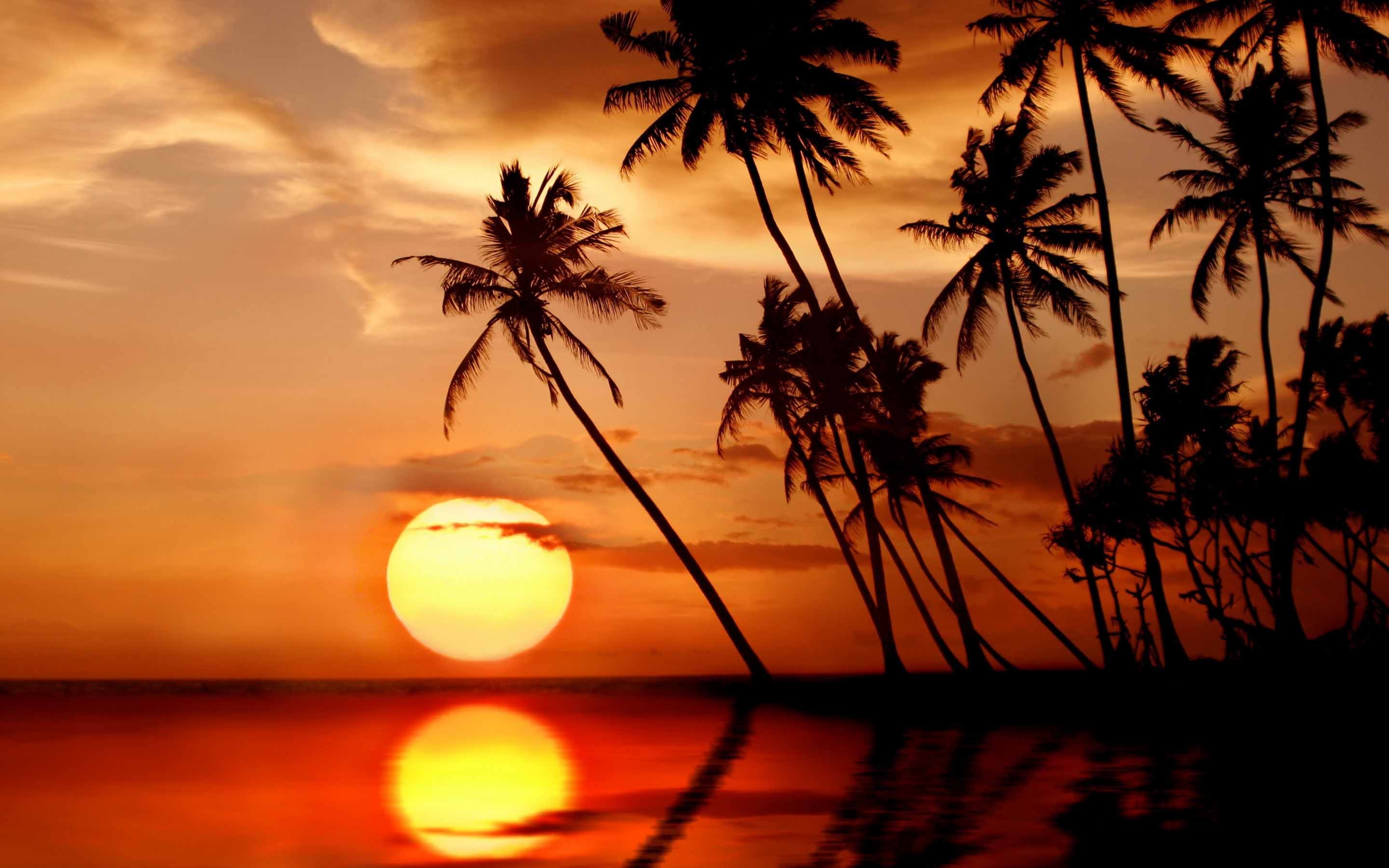 Sunset In Tropical Paradise Mac Wallpaper Download | AllMacWallpaper