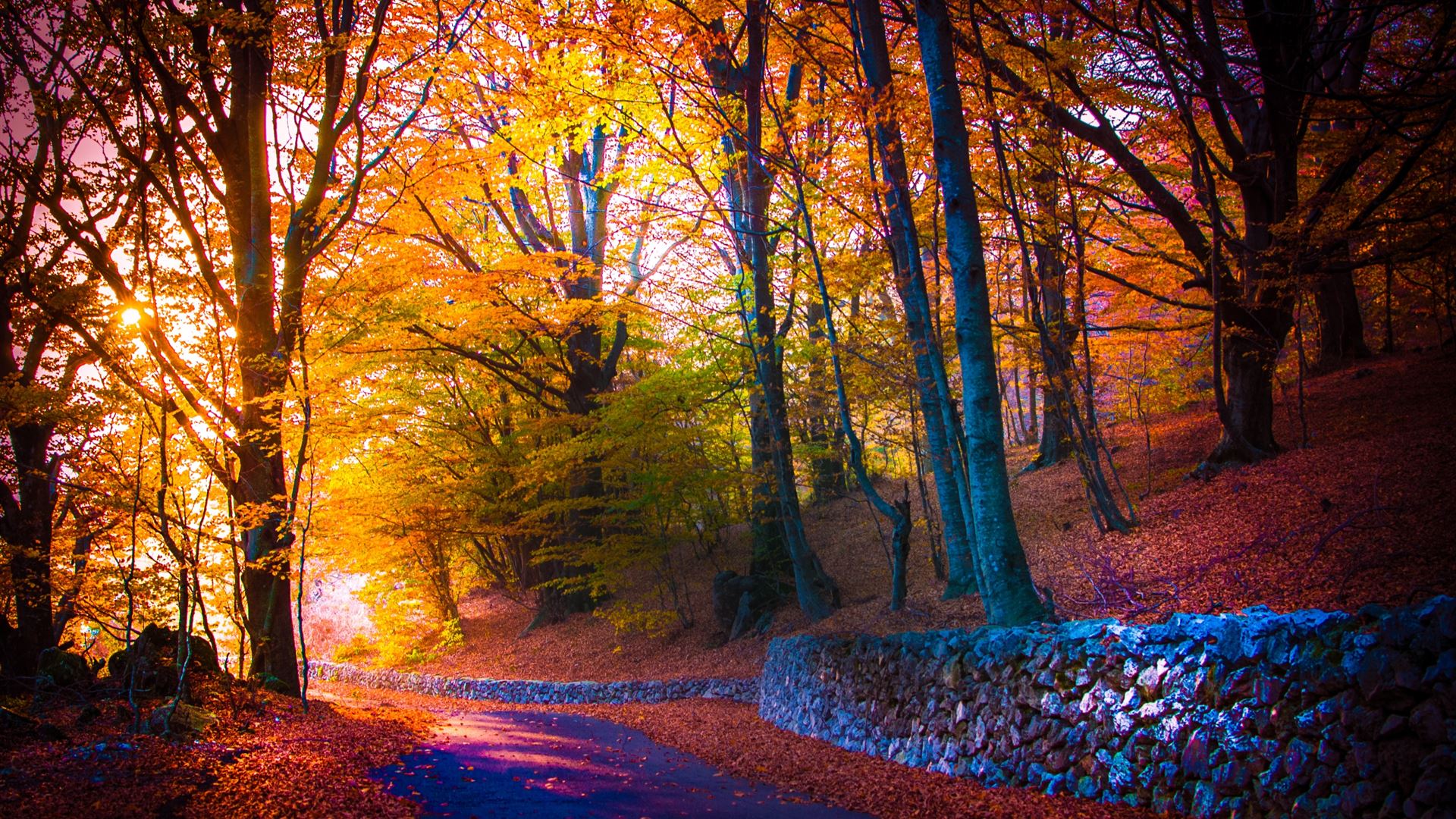 Beautiful autumn Mac Wallpaper Download | Free Mac ...
