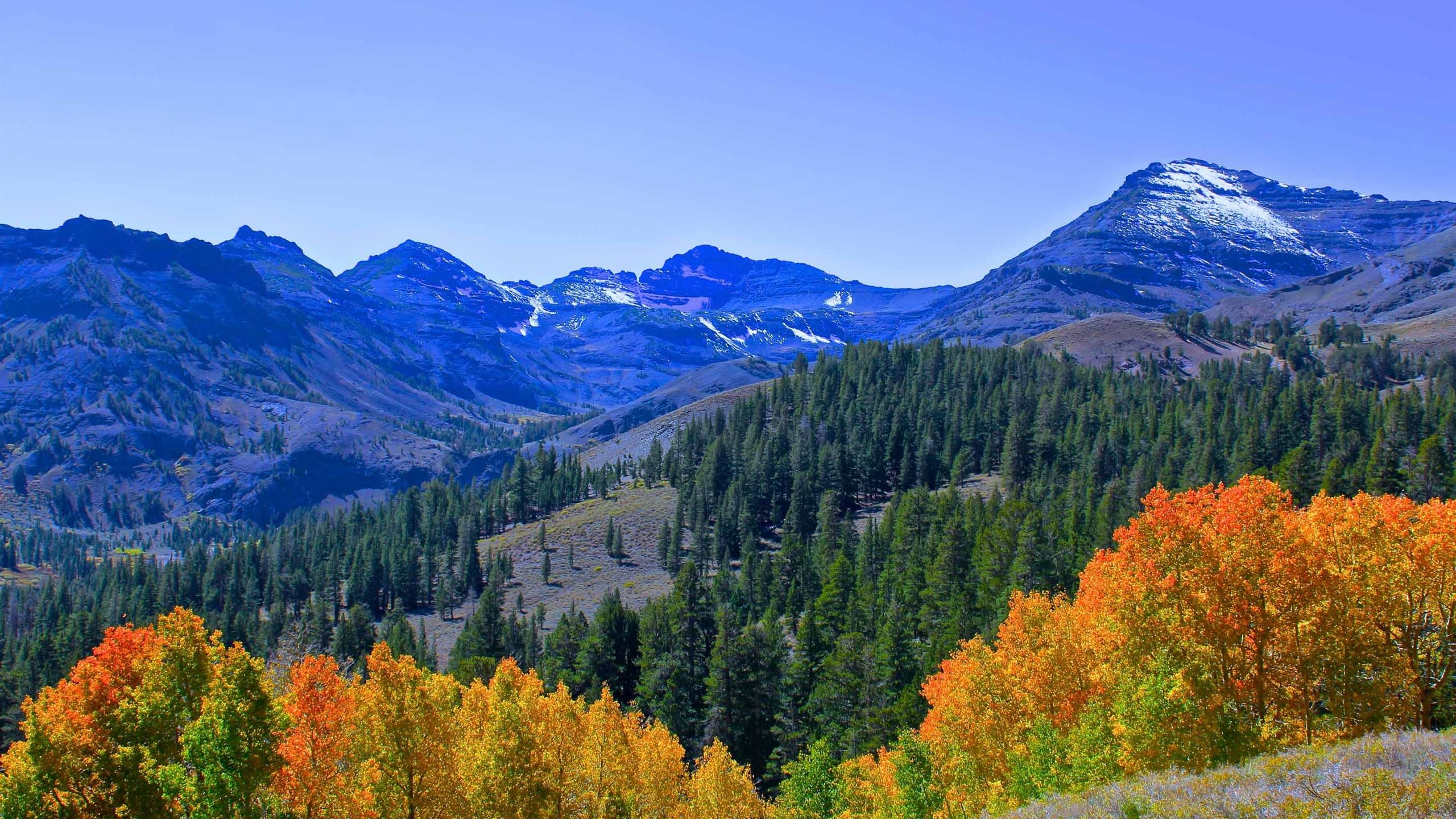 Fall Colors In The Sierra MacBook Air Wallpaper Download | AllMacWallpaper