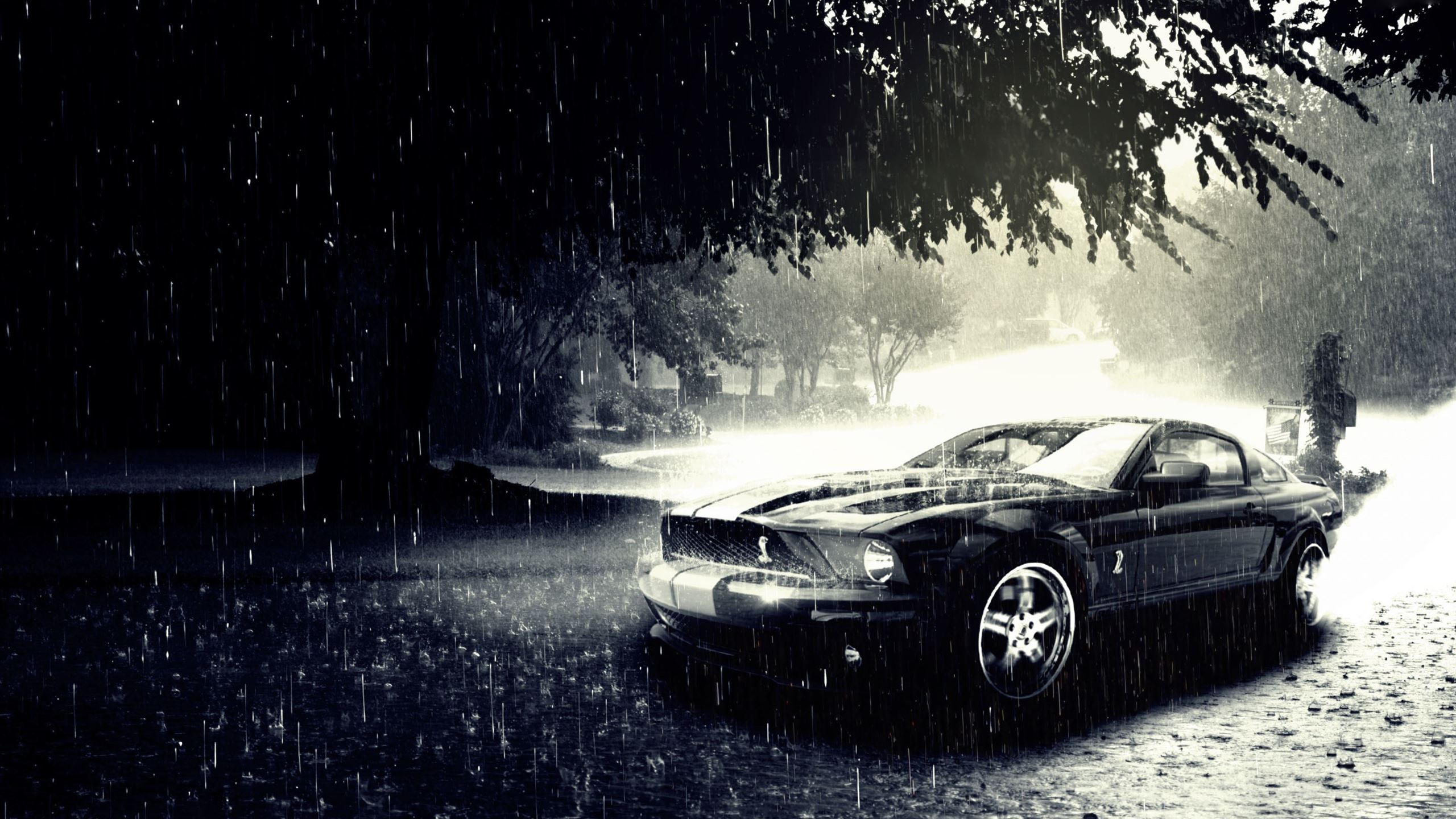 Black Ford Mustang Need for Speed video games PC gaming Gamer HD  wallpaper  Wallpaper Flare