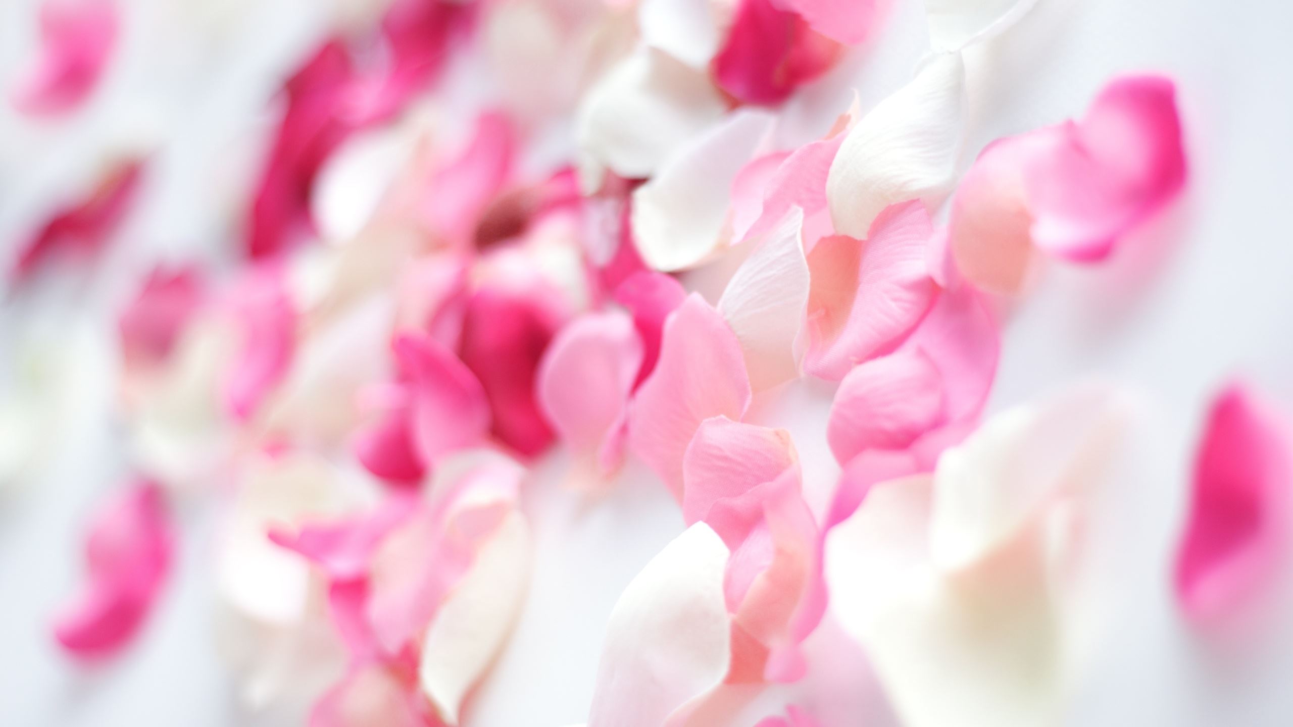 Pink Orchid Flowers Macbook Air Wallpaper Download Allmacwallpaper Images, Photos, Reviews
