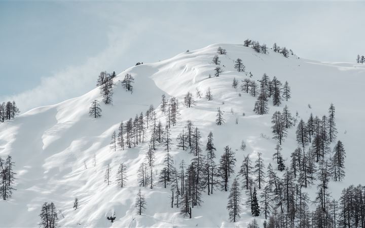 Snow Covered Mountain iMac wallpaper
