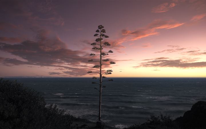 tree ocean seascape sky 5k iMac wallpaper
