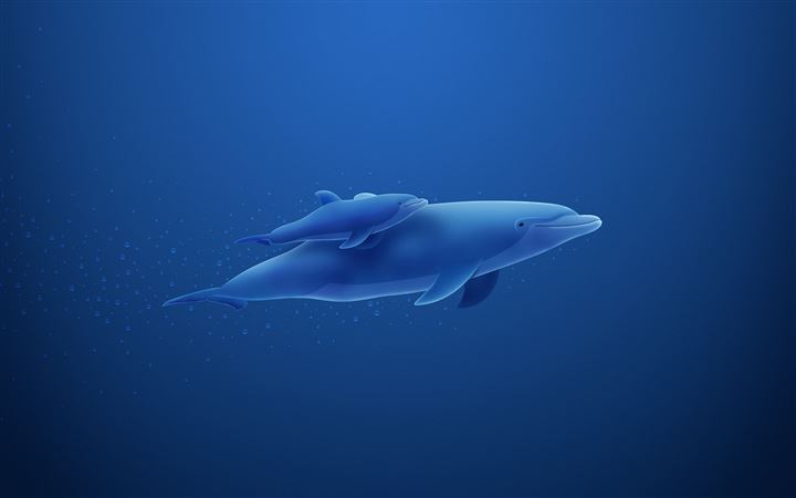 Dolphins mother All Mac wallpaper