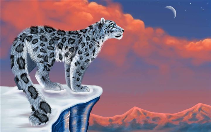 Snow Leopard Drawing All Mac wallpaper