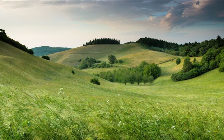 green hills with forest under cloudy sky during da All Mac wallpaper