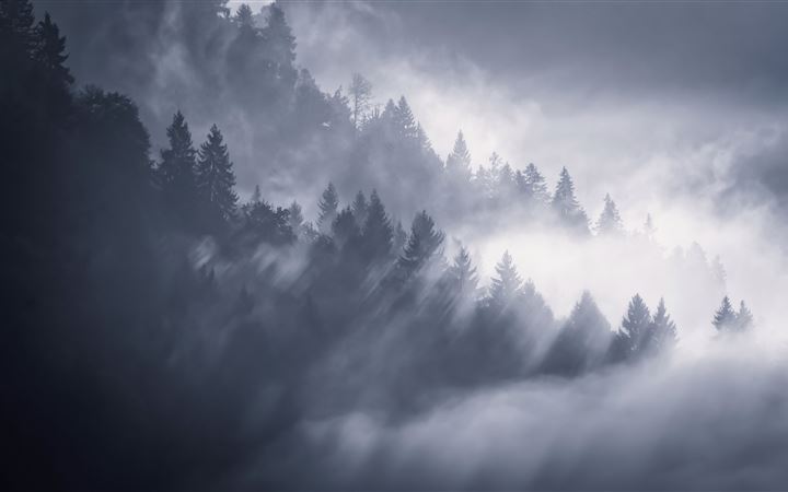 snow fog trees 5k All Mac wallpaper