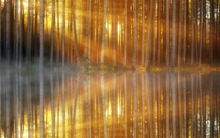 trees lakes sunbeams All Mac wallpaper
