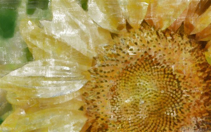 Abstract Sunflower All Mac wallpaper