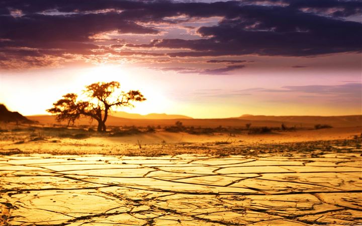 African Landscape MacBook Air wallpaper
