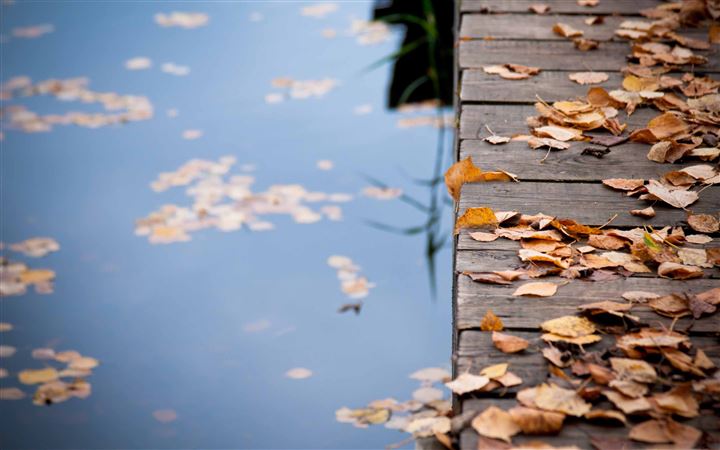 Autumn Leaves On Wooden Bridge All Mac wallpaper