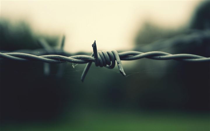 Barbed Wire All Mac wallpaper