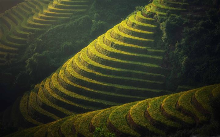 Beautiful Rice Terraces Landscape All Mac wallpaper