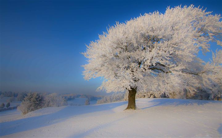 Beautiful Winter Landscape All Mac wallpaper