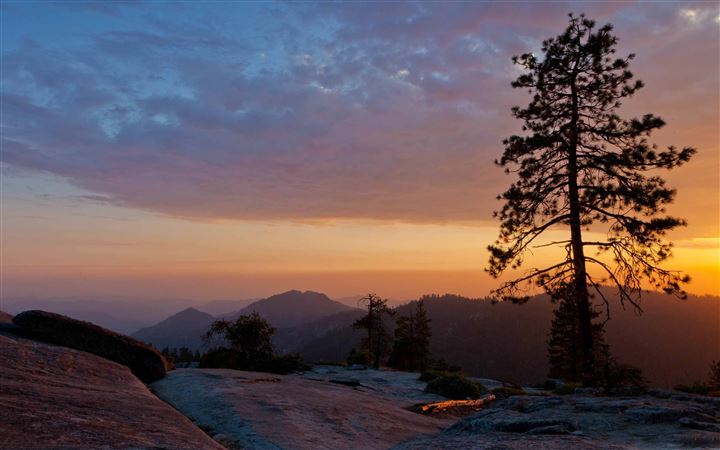 Beetle Rock Sequoia National Park All Mac wallpaper