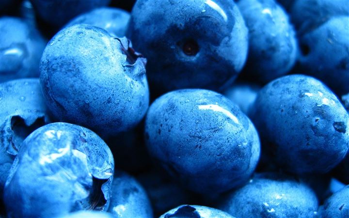 Blueberries Berry Drops All Mac wallpaper