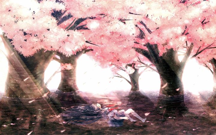 Cherry Tree Blossoms All Mac wallpaper