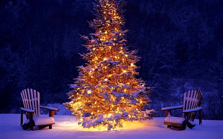 Christmas tree MacBook Air wallpaper