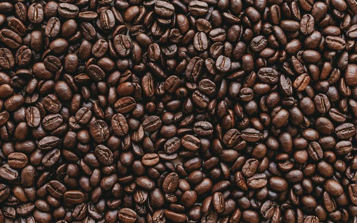 Coffee Beans
Please tag ... All Mac wallpaper