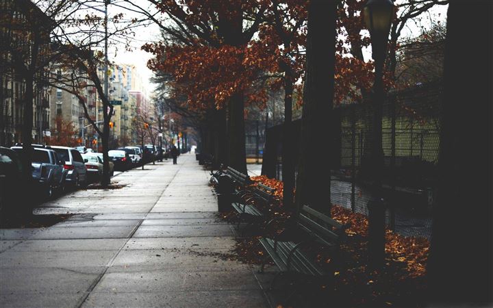 Cold Autumn Day In New York All Mac wallpaper