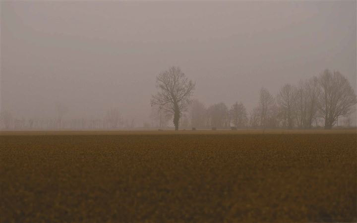 Cold Foggy Day All Mac wallpaper