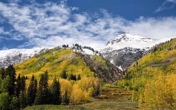 Colorado Leaves All Mac wallpaper