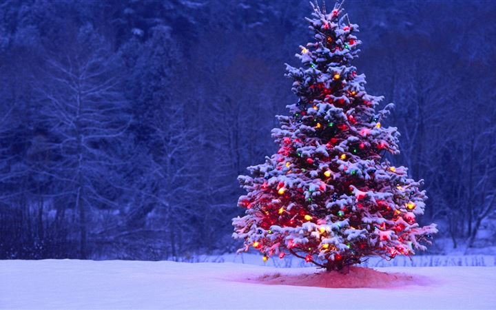 Decorated Christmas Tree All Mac wallpaper