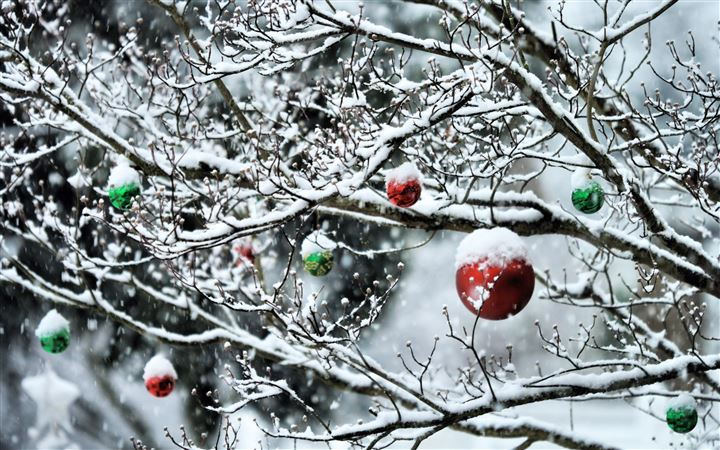 Decorated tree branches All Mac wallpaper