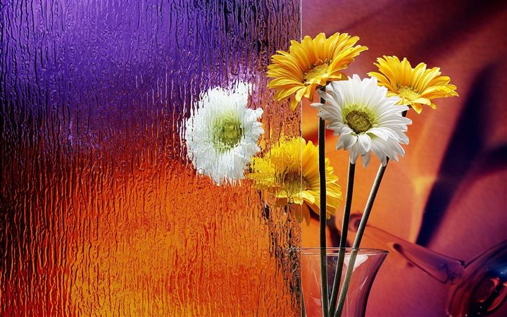 Flower glass All Mac wallpaper