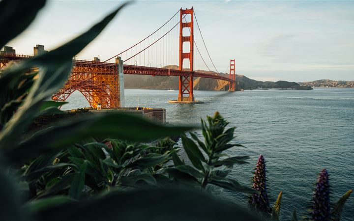 Golden Gate Bridge California All Mac wallpaper