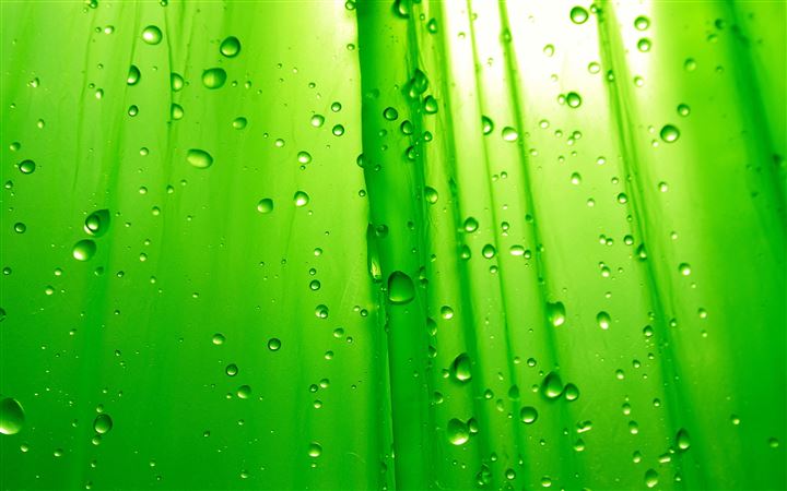 Green Drops All Mac wallpaper