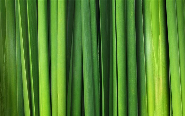Green Grass Blades MacBook Air wallpaper