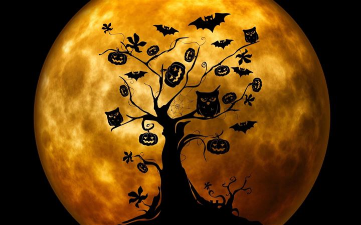 Halloween Owls And Bats All Mac wallpaper