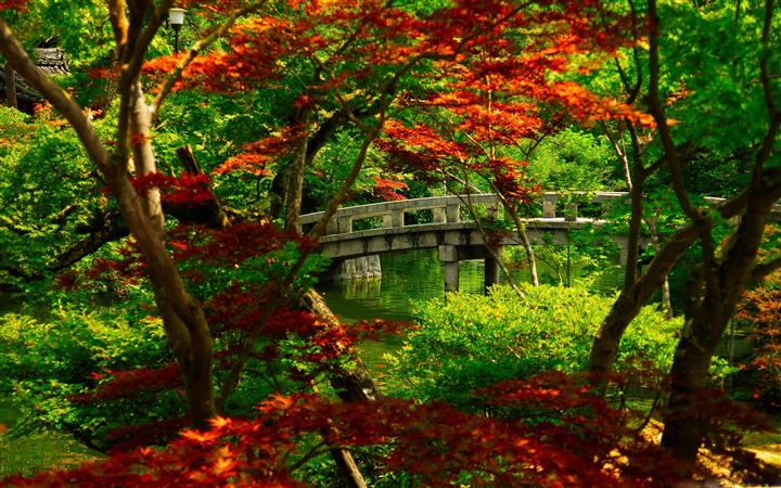 Japanese Garden Kyoto All Mac wallpaper