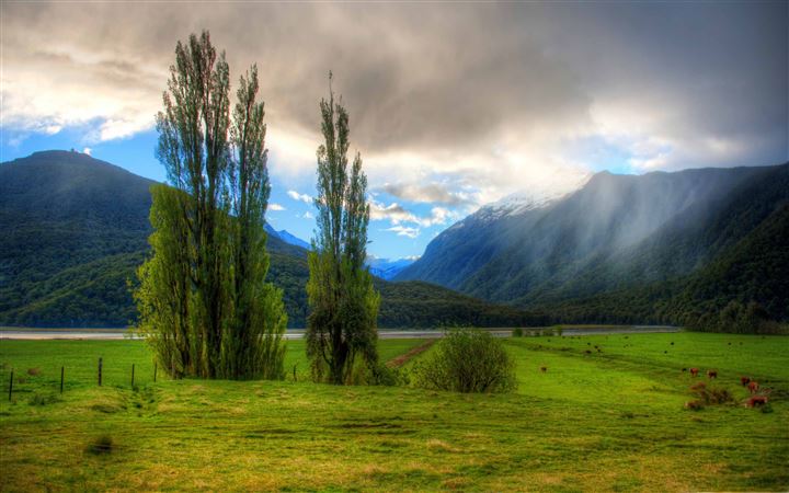 Landscape In New Zealand All Mac wallpaper