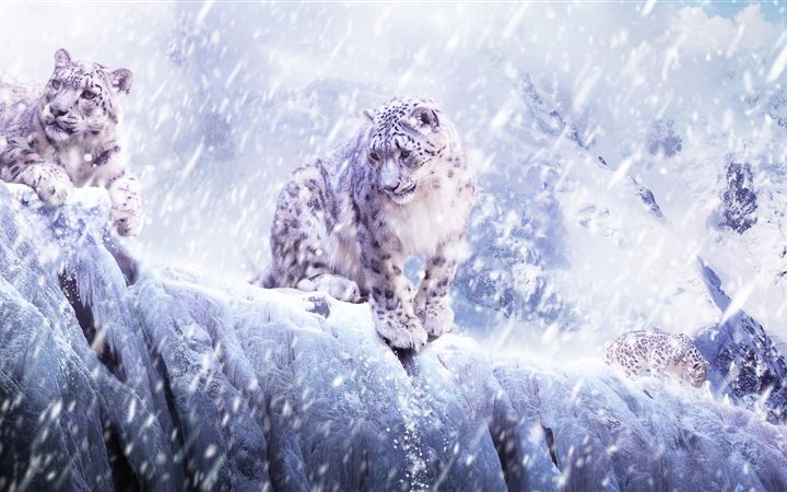 Leopards In The Snow All Mac wallpaper