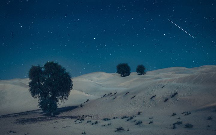 Moonlight in desert All Mac wallpaper