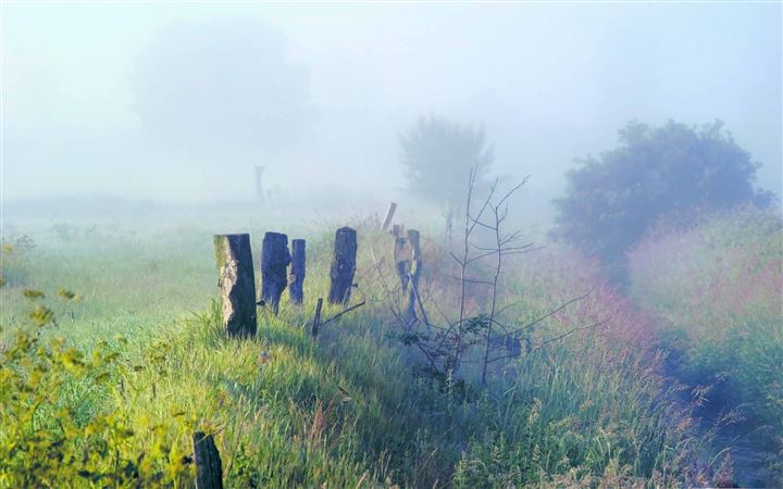 Morning Fog In The Field All Mac wallpaper