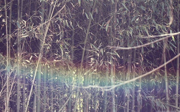 Mystic Rainbow All Mac wallpaper