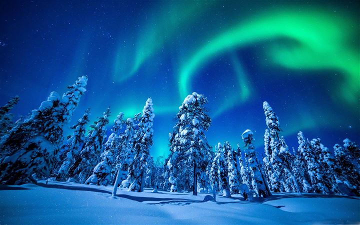 Northern Lights Over Forest All Mac wallpaper