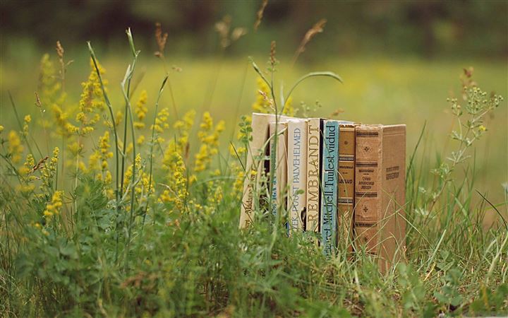 Old Books Outdoors All Mac wallpaper