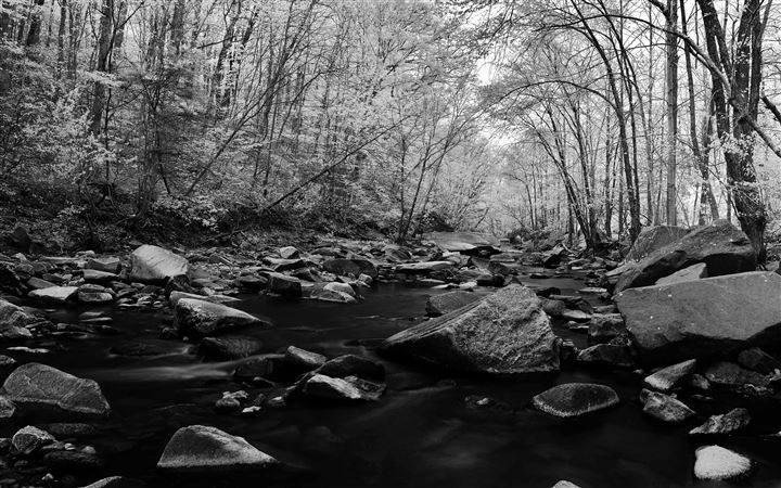 Pohick Creek Black And White All Mac wallpaper