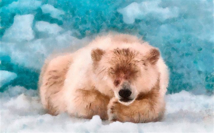 Polar Bear Sleeping Dap Water Color All Mac wallpaper